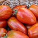 25 Heirloom Tomato Speckled Roman Lycopersicon Seeds