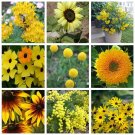 Yellow Shades Monochromatic Flower Seed Collection Yellow Shades Monochromatic Flower Seed Collection