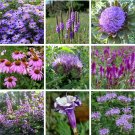 Purple Shades Monochromatic Flower Seed Collection Purple Shades Monochromatic Flower Seed Collection