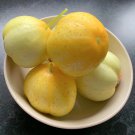25 Heirloom Lemon Cucumber Cucumis Seeds