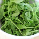 300 Rocket Arugula Eruca Seeds