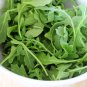 300 Rocket Arugula Eruca Seeds