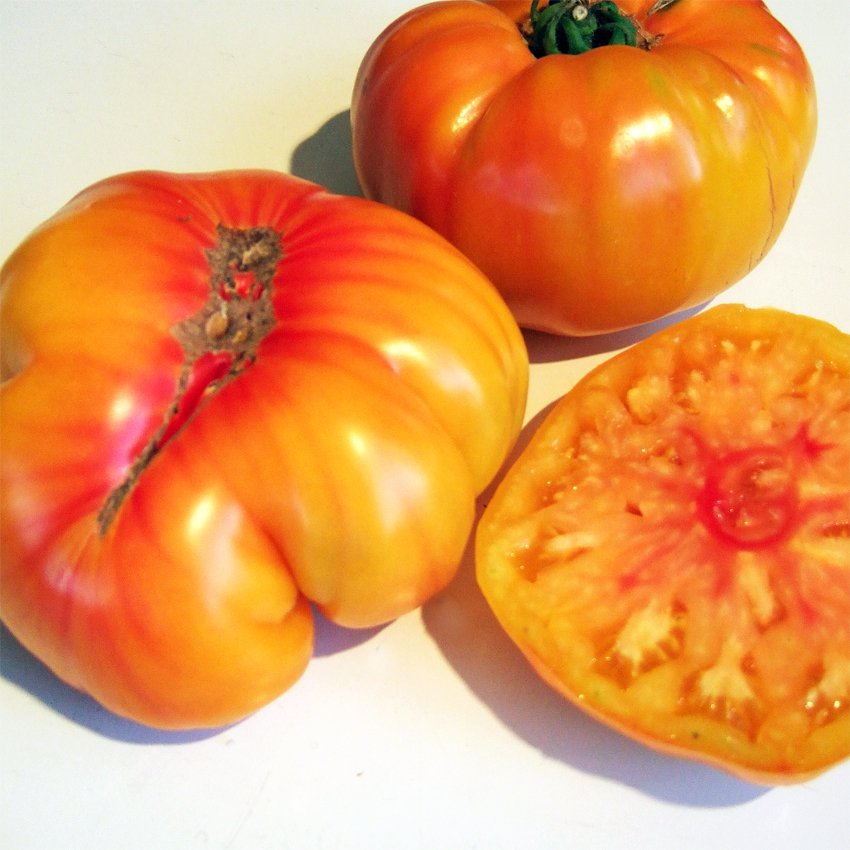25 Heirloom Tomato Old German Tomato Seeds