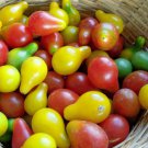 50 Heirloom Tomato Red and Yellow Pear Seeds