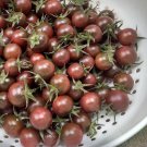 25 Heirloom Tomato Black Cherry Seeds