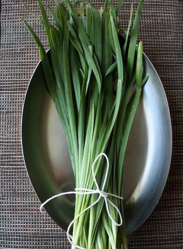 300 Heirloom Garlic Chives Onion Leek Allium Seeds