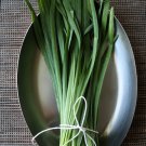 300 Heirloom Garlic Chives Onion Leek Allium Seeds