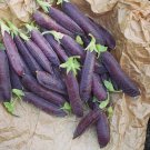 25 Dutch Heirloom Purple Pea Blauwschokkers Seeds