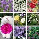 Sweet Scent Fragrant Garden Flower Seed Collection Sweet Scent Fragrant Garden Flower Seed Collection