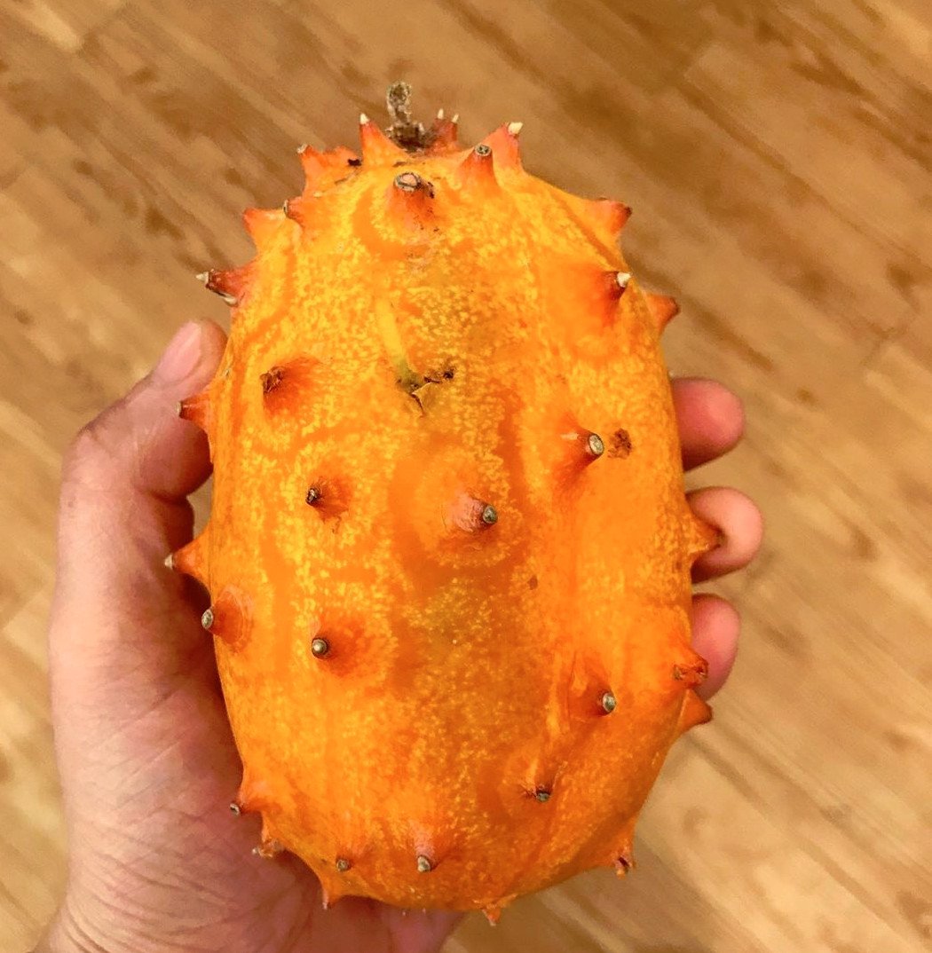 20 Horned Melon Kiwano Cucumis Seeds