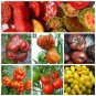 Heirloom Tomato Seed Collection