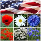 Red White and Blue Patriotic Garden Flower Seed Collection Seeds Red White and Blue Patriotic Garden Flower Seed Collection Seeds
