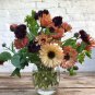 40 Maroon Black Bachelor Buttons Cornflower Centaurea Seeds
