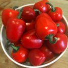30 Red Cherry Bomb Chili Pepper Seeds