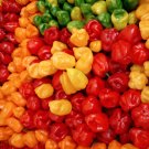 1/2 LB Fresh Chile Habanero Peppers