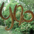 10 Serpent Snake Gourd Seeds