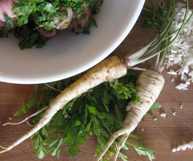 100 German Heirloom Hamburg Root Parsley Petroselinum Seeds