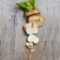 100 Heirloom Sugar Beet Root Beta Seeds