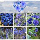 Blue Days Garden Flower Seed Collection Blue Days Garden Flower Seed Collection