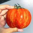 25 Heirloom Striped Cavern Stuffing Tomato Seeds