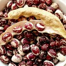 40 Heirloom Good Mother Stallard Pole Bean Seeds