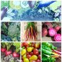 Cold Hardy Vegetable Seed Collection