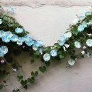 15 Morning Glory Giant Flying Saucers Ipomoea Seeds