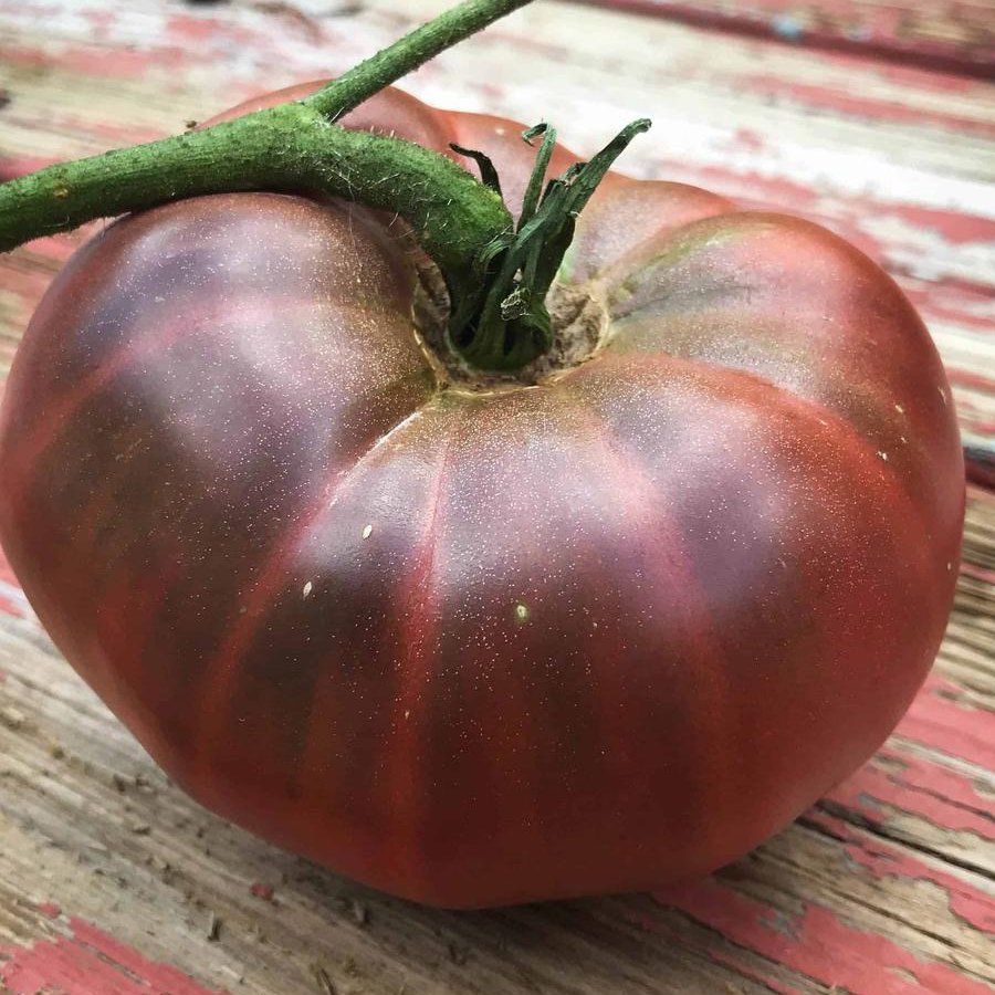 30 Heirloom Tomato Black Brandywine Seeds