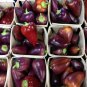 20 Violet Sparkle Sweet Pepper Seeds