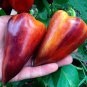 20 Violet Sparkle Sweet Pepper Seeds