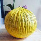 25 Golden Casaba Melon Cucumis Seeds