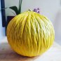 25 Golden Casaba Melon Cucumis Seeds