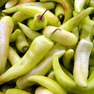 40 Sweet Banana Pepper Seeds