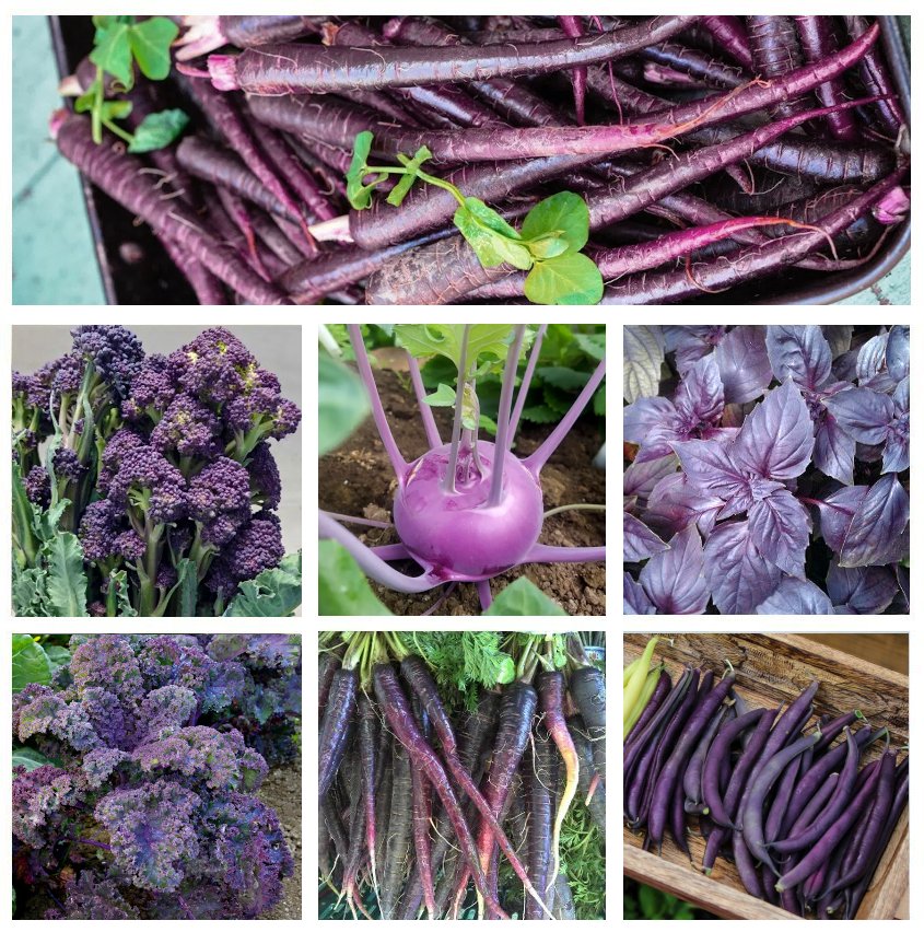 Purple Heirloom Vegetables Garden Seed Collection