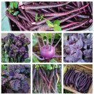Purple Heirloom Vegetables Garden Seed Collection