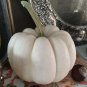 8 White Pumpkin Ghost Casper Seeds