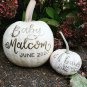 8 White Pumpkin Ghost Casper Seeds
