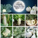 Moon Garden White Vegetable Seed Collection