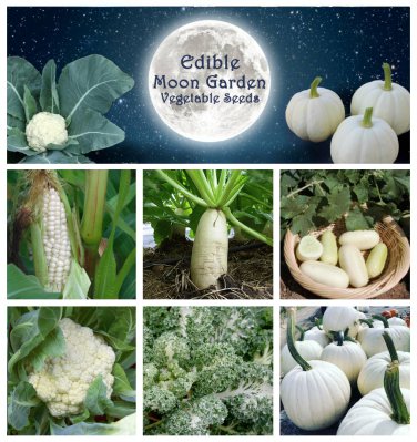 Moon Garden White Vegetable Seed Collection