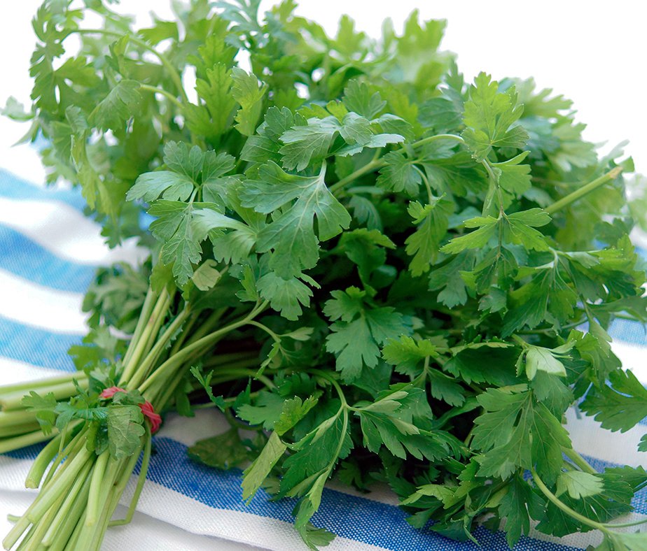 Parsley перевод на русский. Parsley Onuma. Petersilie. Italian parsley. Aachi петрушка (parsley) 20 г.