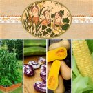Native Three Sister Companion Garden Seed Collection