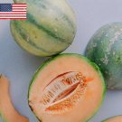 20 French Heirloom True Charentais Melon Cucumis Seeds