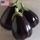 50 Heirloom Eggplant Black Beauty Aubergine Seeds