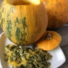 20 Green Seeded Pumpkin Kakai Hulless Pepita Seeds