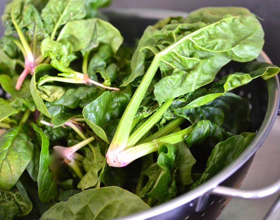 200 Perpetual Spinach Wild Spinach Leaf Beet Beta Seeds