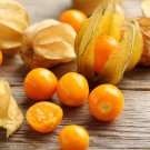 50 Cape Gooseberry Ground Cherry Physalis Seeds