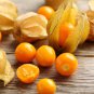 50 Cape Gooseberry Ground Cherry Physalis Seeds