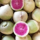 100 Heirloom Shinrimei Watermelon Radish Raphanus Seeds