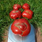 30 Heirloom Radiator Charlie Mortgage Lifter Beefsteak Tomato Seeds