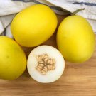 20 Chito Mango Melon Vine Peach Seeds